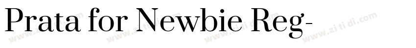 Prata for Newbie Reg字体转换